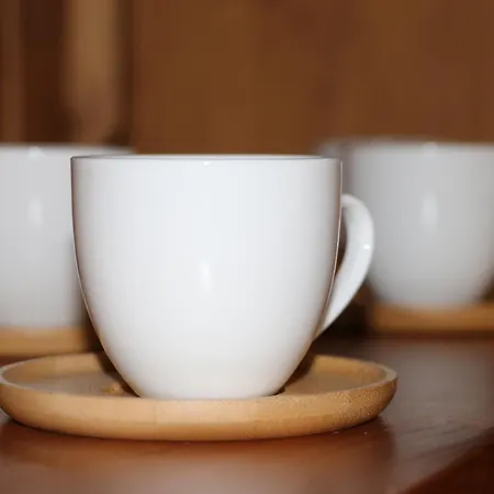 Pohoda Javorniky S Rozlahlym Pozemkom Villa