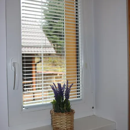 Pohoda Javorniky S Rozlahlym Pozemkom *