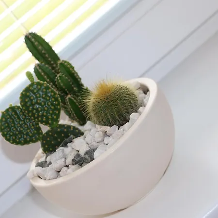 Pohoda Javorniky S Rozlahlym Pozemkom Villa *