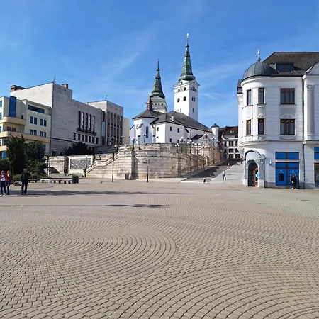 Pohoda Javorniky S Rozlahlym Pozemkom