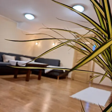 Villa Pohoda Javorniky S Rozlahlym Pozemkom *