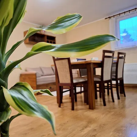 Pohoda Javorniky S Rozlahlym Pozemkom Villa *