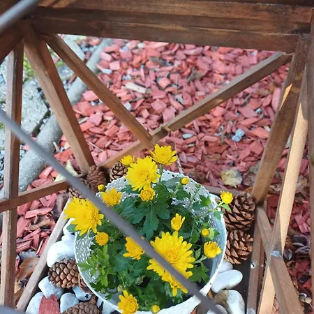 Vila Pohoda Javorníky S Rozľahlým Pozemkom *