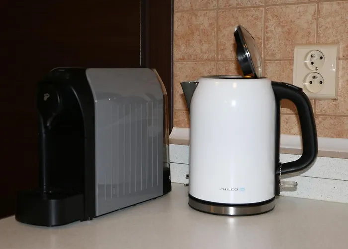 Pohoda Javorniky S Rozlahlym Pozemkom * Trencsénmakó