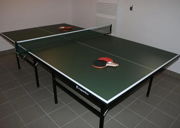 Pohoda Javorniky S Rozlahlym Pozemkom Villa Trencsénmakó