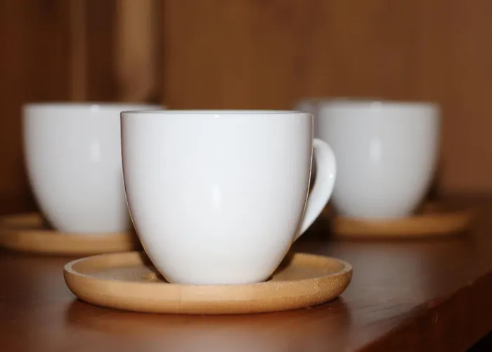 Pohoda Javorníky S Rozľahlým Pozemkom Vila