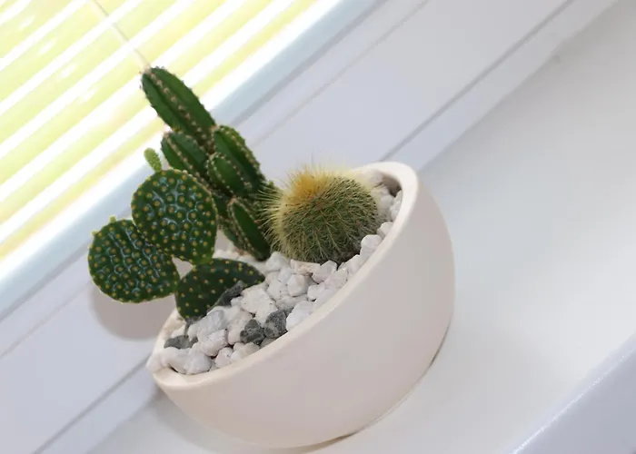 Pohoda Javorníky S Rozľahlým Pozemkom Vila *