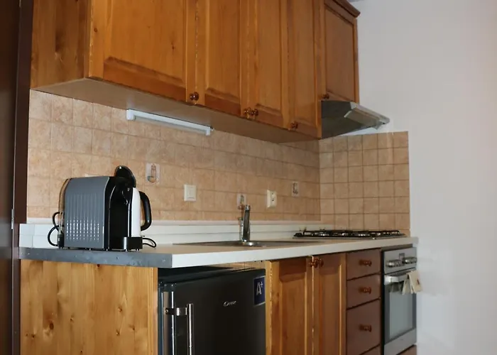 Villa Pohoda Javorniky S Rozlahlym Pozemkom Trencsénmakó