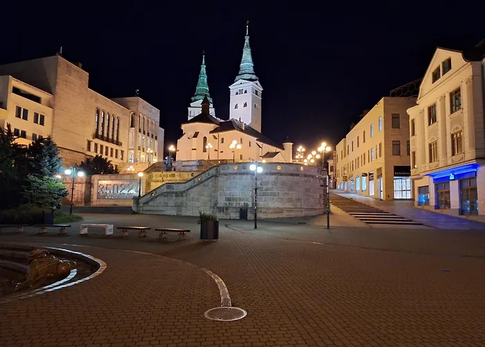 Villa Pohoda Javorniky S Rozlahlym Pozemkom Makov