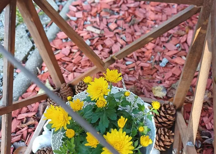 Vila Pohoda Javorníky S Rozľahlým Pozemkom *